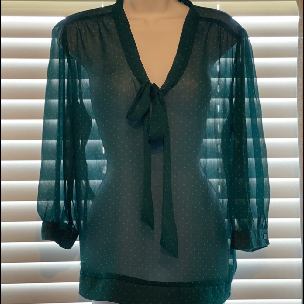 Sheer blouse